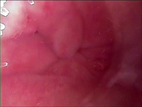 Assfuck JPN Masseuse intravaginal cam and Creampie UNCENSORED Futanari