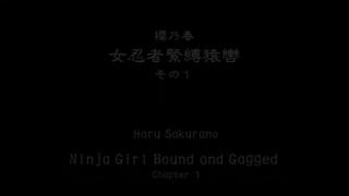 Safari Haru Sakurano - Ninja Girl MrFacial