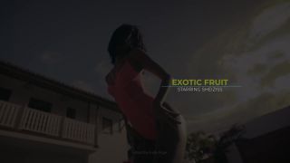 SpankBang Exotic Fruit - Sex Movies Featuring Katya-Clover Gay Pornstar