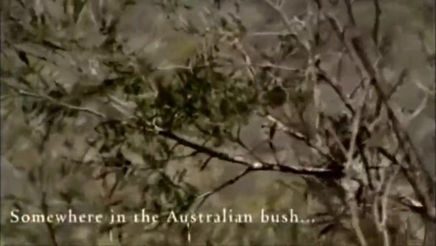 Anus Living in the Australian Bush as a Naturist Women Fucking