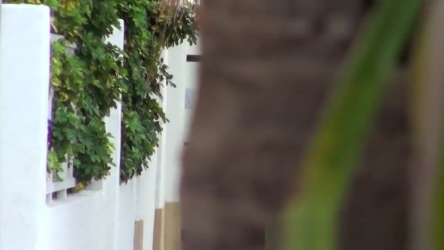 HibaSex Mofos - Pervs On Patrol - Sexy Skateboarding Teen starring Amber Cox Sexier