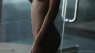 Desnuda Silhouette - Noel Monique - Met-Art Chick